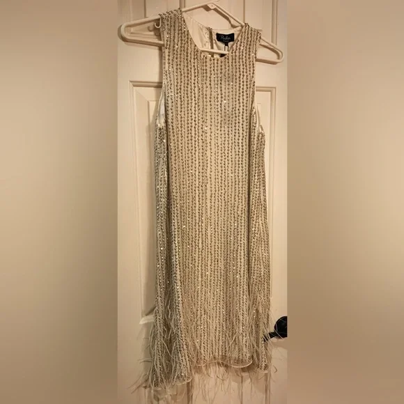 White Short dress with silver beading and feathers at the